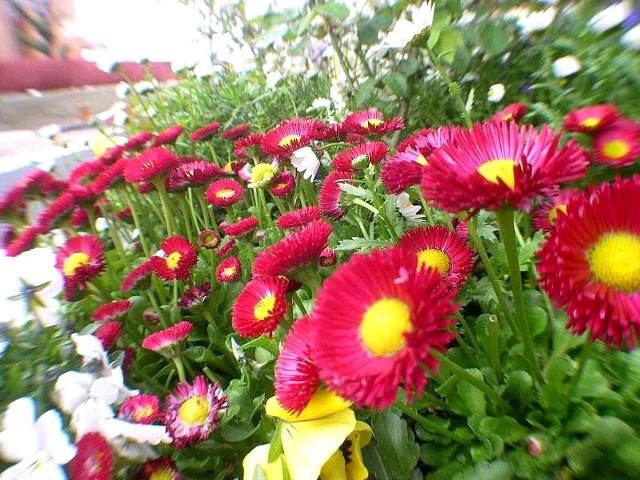 06.4.8 049.jpg